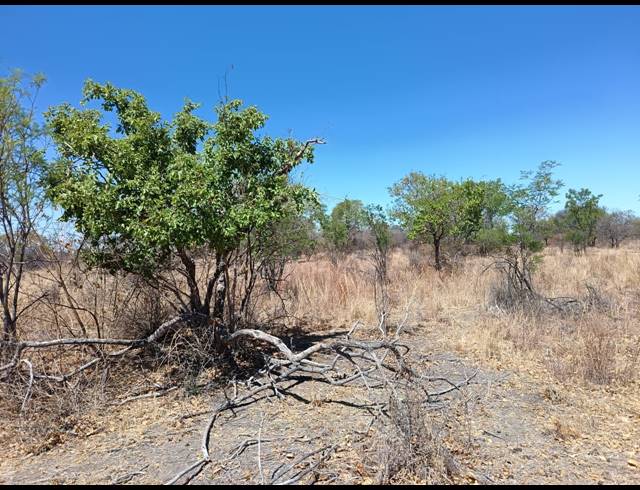 8.60HA SMALLHOLDING SOLD IN LUSTHOF